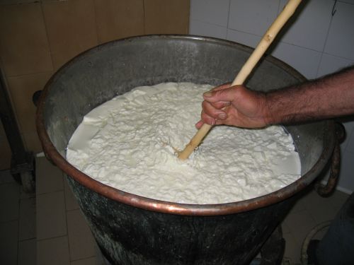 scuola di formaggio-10.JPG